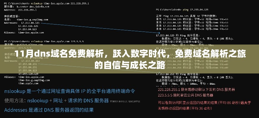 11月dns域名免费解析，跃入数字时代，免费域名解析之旅的自信与成长之路