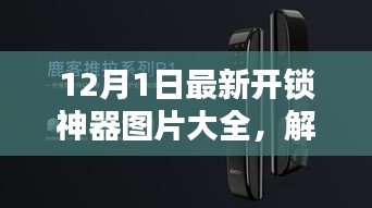 最新开锁神器图片大全与体验报告，解锁未来之门，12月最新资讯