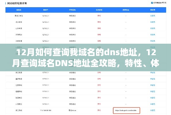 12月域名DNS地址查询全攻略，特性、体验、竞品对比一网打尽！