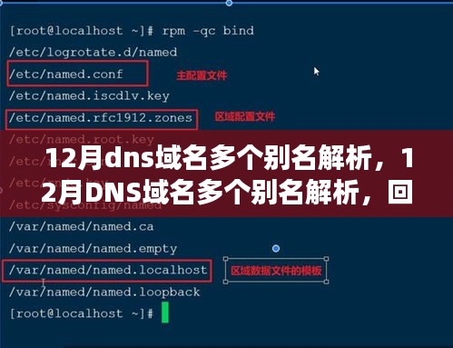 12月DNS域名多个别名解析回顾与展望，影响与趋势分析