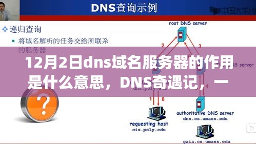 DNS域名服务器背后的友情探索与数字世界的奇遇记