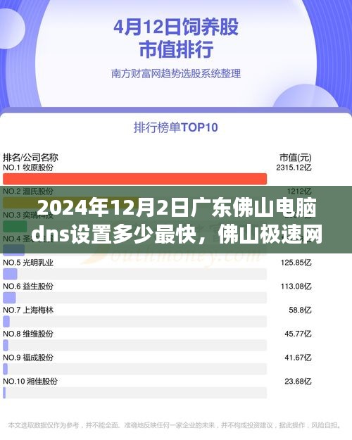 广东佛山极速网络新纪元，最新DNS设置揭秘，体验科技飞跃带来的极速网络魅力（2024年12月版）