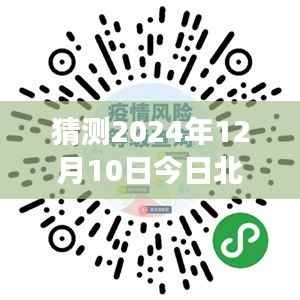 北京疫情新观察，2024年12月10日疫情视频解读与影响分析