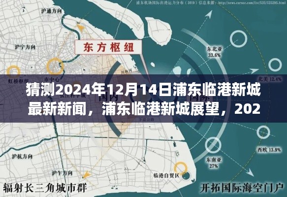 2024年12月14日浦东临港新城展望，最新动态概览与未来展望