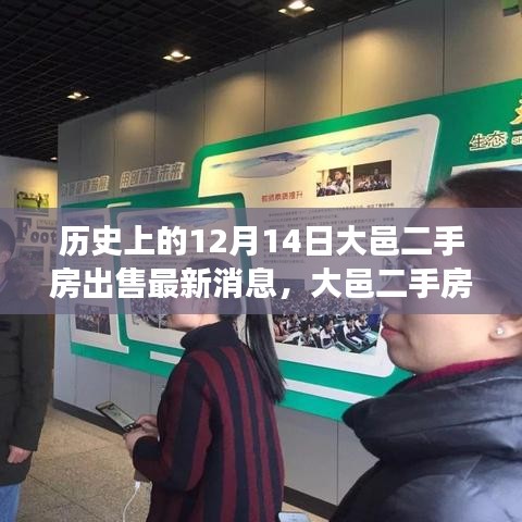 大邑二手房背后的温情故事，友谊与陪伴的温馨日常——最新出售消息在12月14日揭晓