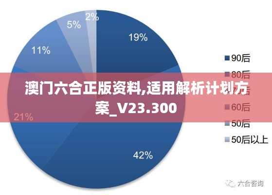 澳门六合正版资料,适用解析计划方案_V23.300