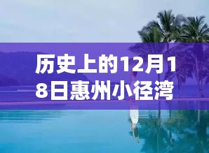 惠州小径湾的温馨日常，一个特别的12月18日回顾