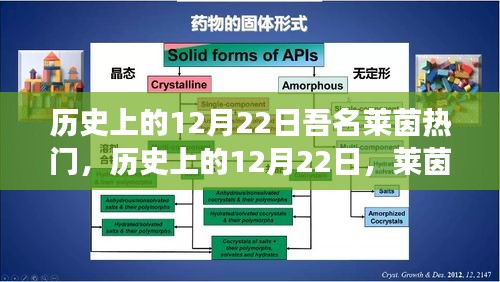 历史上的12月22日莱茵热门事件深度解读