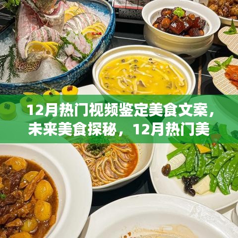 揭秘12月热门美食视频，美食文案探秘与鉴定仪的高科技之旅