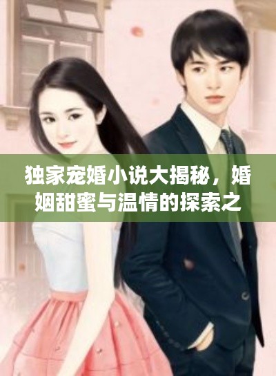 独家宠婚小说大揭秘，婚姻甜蜜与温情的探索之旅