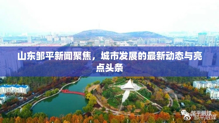 山东邹平新闻聚焦，城市发展的最新动态与亮点头条