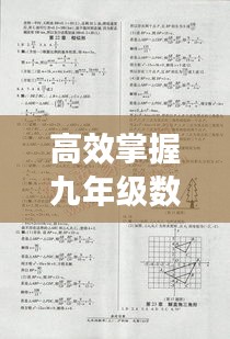 高效掌握九年级数学秘籍，轻松逆袭学霸！