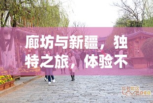 廊坊与新疆，独特之旅，体验不一样的风情