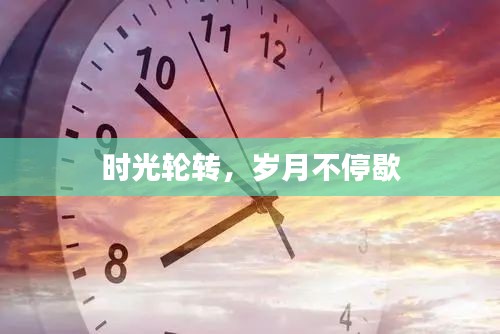 时光轮转，岁月不停歇