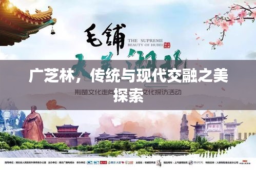 广芝林，传统与现代交融之美探索
