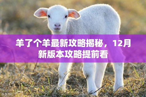 羊了个羊最新攻略揭秘，12月新版本攻略提前看