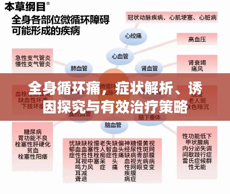 全身循环痛，症状解析、诱因探究与有效治疗策略