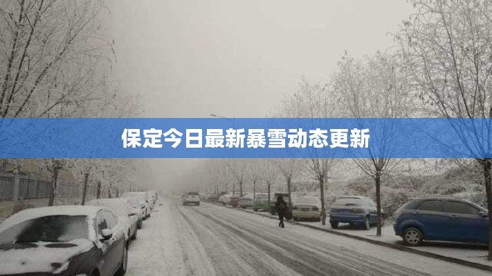 保定今日最新暴雪动态更新