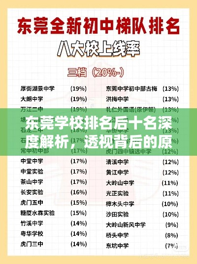 东莞学校排名后十名深度解析，透视背后的原因与现状