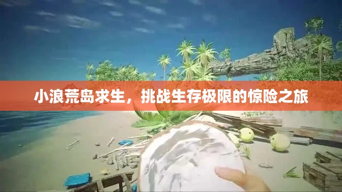 小浪荒岛求生，挑战生存极限的惊险之旅