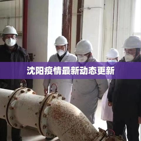 沈阳疫情最新动态更新