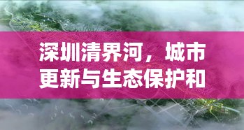 深圳清界河，城市更新与生态保护和谐共舞，引领绿色未来