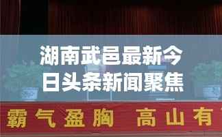 湖南武邑最新今日头条新闻聚焦