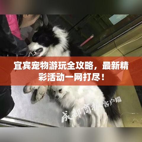 2025年6月 第109页