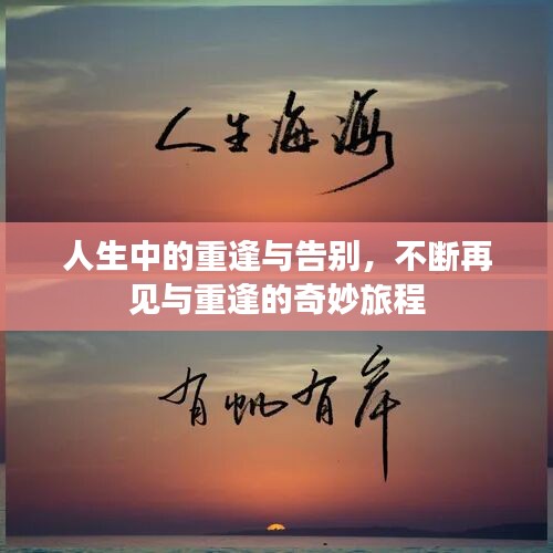 人生中的重逢与告别，不断再见与重逢的奇妙旅程
