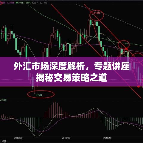 外汇市场深度解析，专题讲座揭秘交易策略之道