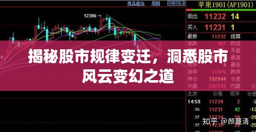 揭秘股市规律变迁，洞悉股市风云变幻之道