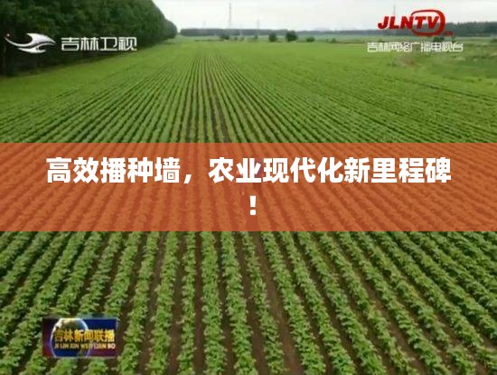 高效播种墙，农业现代化新里程碑！
