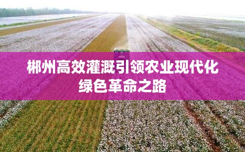 郴州高效灌溉引领农业现代化绿色革命之路
