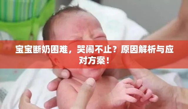 2025年6月 第104页