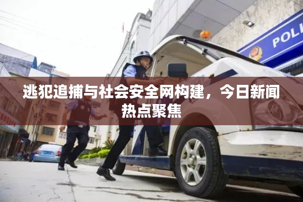 逃犯追捕与社会安全网构建，今日新闻热点聚焦