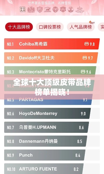 全球十大顶级皮带品牌榜单揭晓！