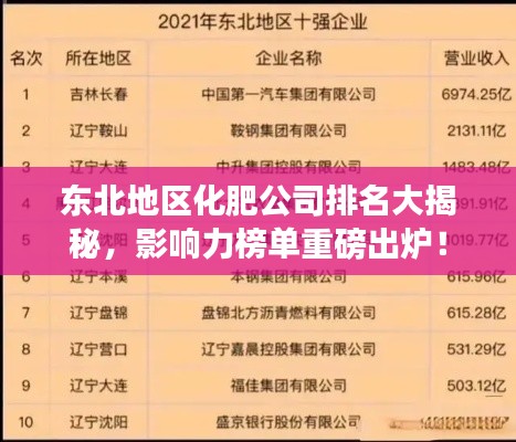 东北地区化肥公司排名大揭秘，影响力榜单重磅出炉！