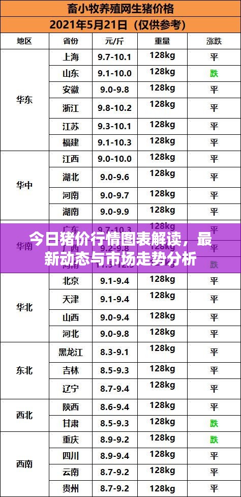 今日猪价行情图表解读，最新动态与市场走势分析