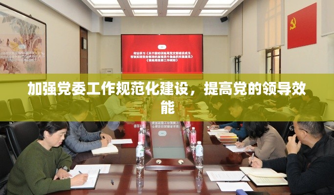 加强党委工作规范化建设，提高党的领导效能
