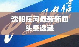 沈阳庄河最新新闻头条速递