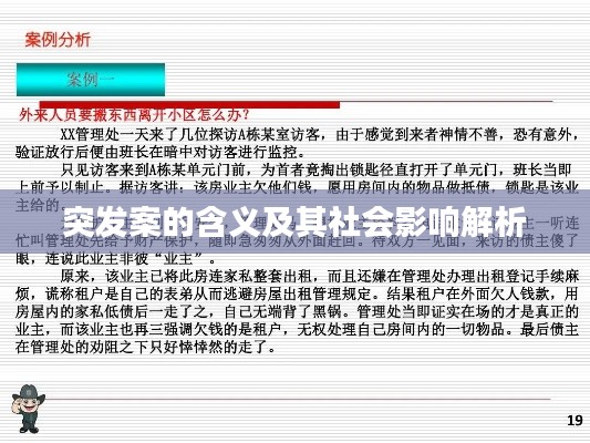 突发案的含义及其社会影响解析