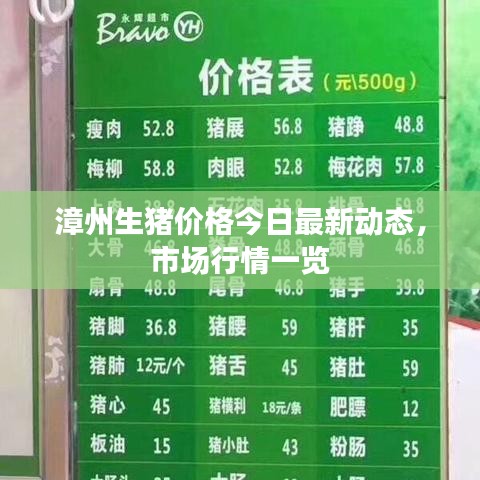 漳州生猪价格今日最新动态，市场行情一览
