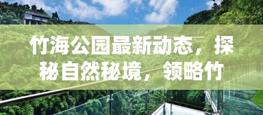 竹海公园最新动态，探秘自然秘境，领略竹的韵味