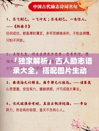 鸟面鹄形