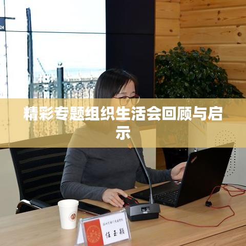 精彩专题组织生活会回顾与启示