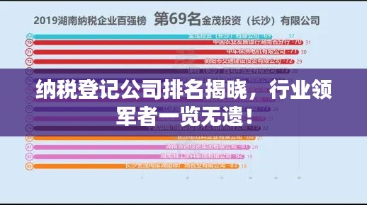 纳税登记公司排名揭晓，行业领军者一览无遗！