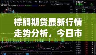 棕榈期货最新行情走势分析，今日市场动态速递