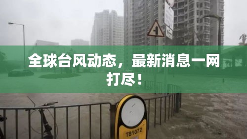 全球台风动态，最新消息一网打尽！