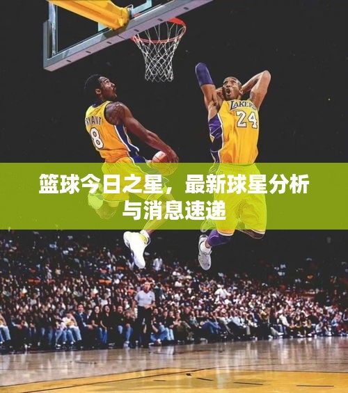 篮球今日之星，最新球星分析与消息速递