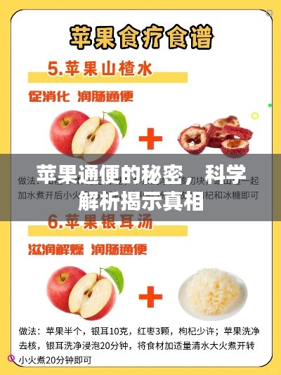 苹果通便的秘密，科学解析揭示真相